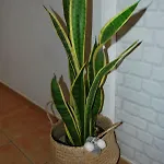 아파트 Casa Yerida Cotillo