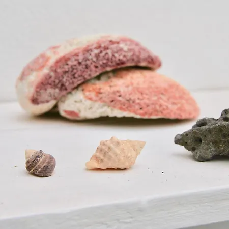 Apartment Casa Yerida *